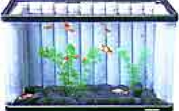 無害性を確認02