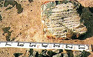 実例01
