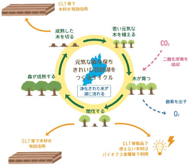 CLT事業